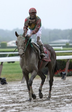 2015 Belmont Stakes Chart