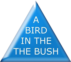 bird in the bush quote